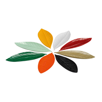 Mini Defne Melamin Teşhir