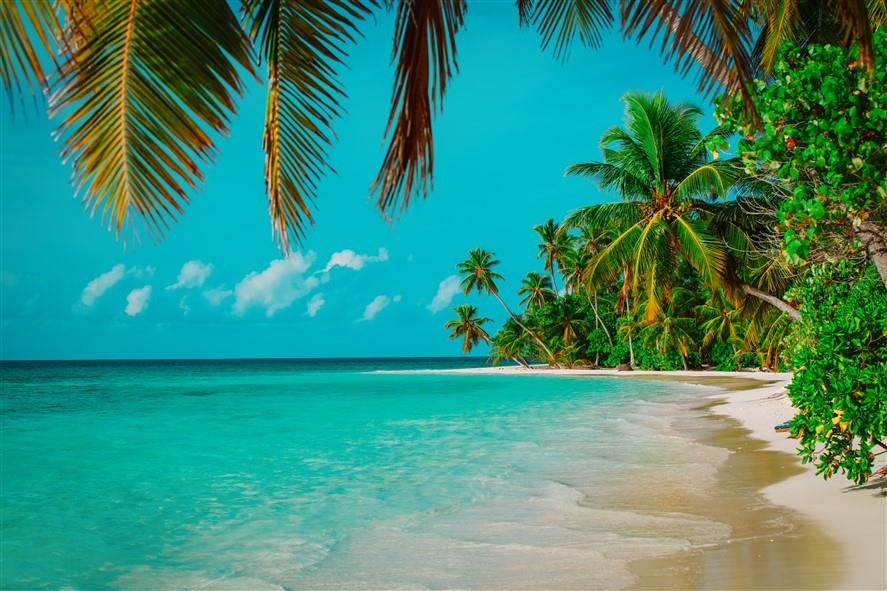 Deniz Manzaralı Duvar Kağıdı-33