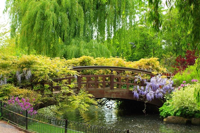 Doğa Manzaralı Duvar Kağıdı-5