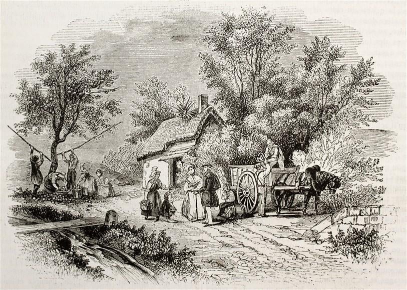 Monochrome Duvar Kağıdı-61