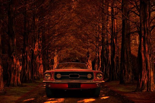 Araba Duvar Kağıdı 35