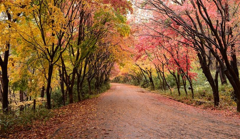 Derinlik Manzara Duvar Kağıdı-40