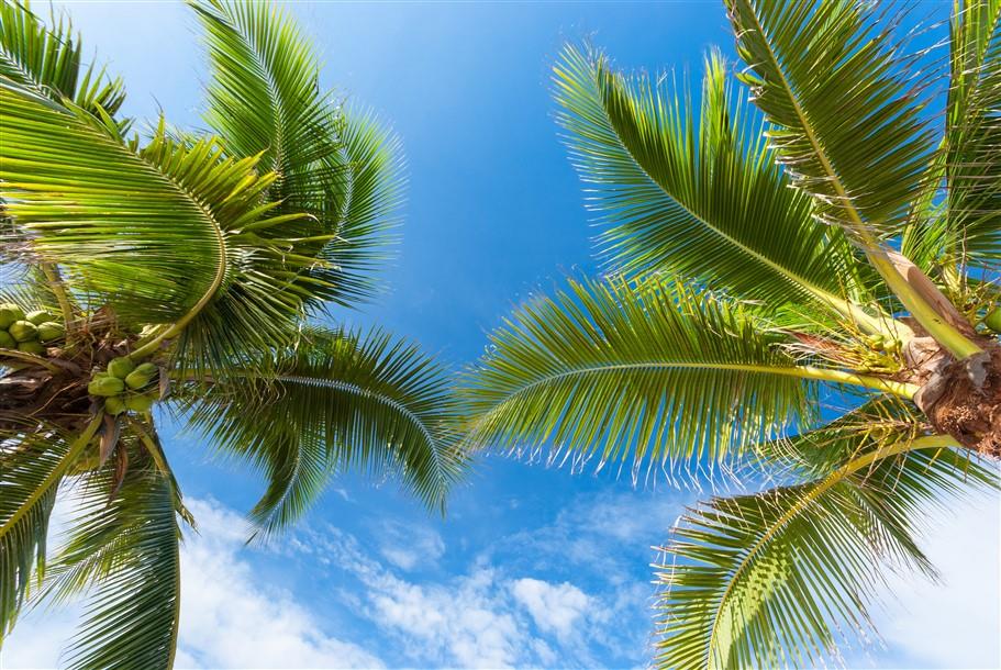 Gökyüzü Desenli Duvar Kağıdı-8