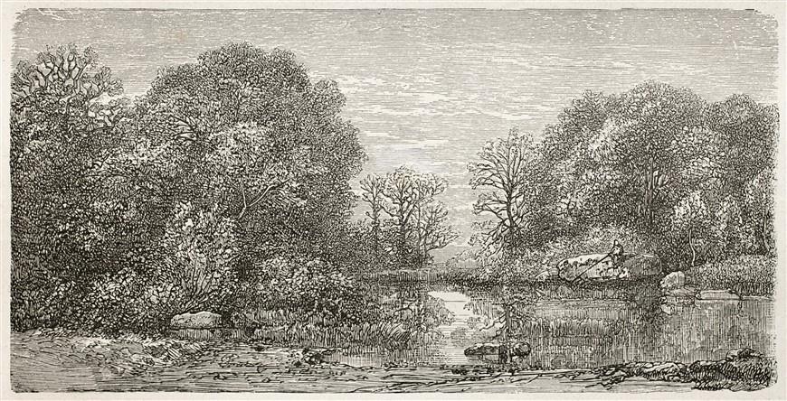 Monochrome Duvar Kağıdı-15