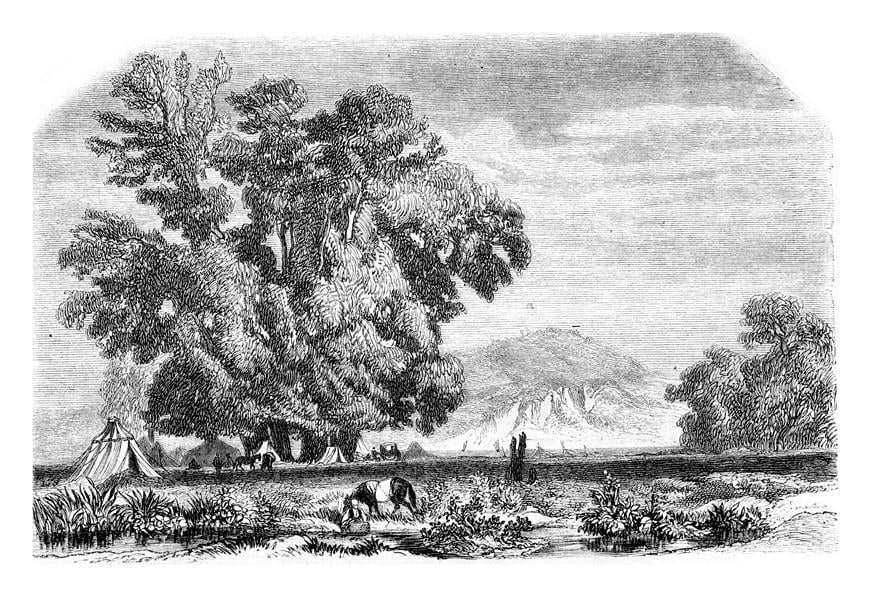 Monochrome Duvar Kağıdı-19