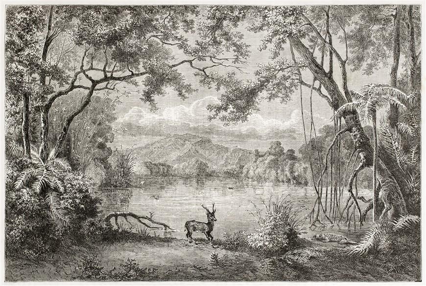 Monochrome Duvar Kağıdı-26