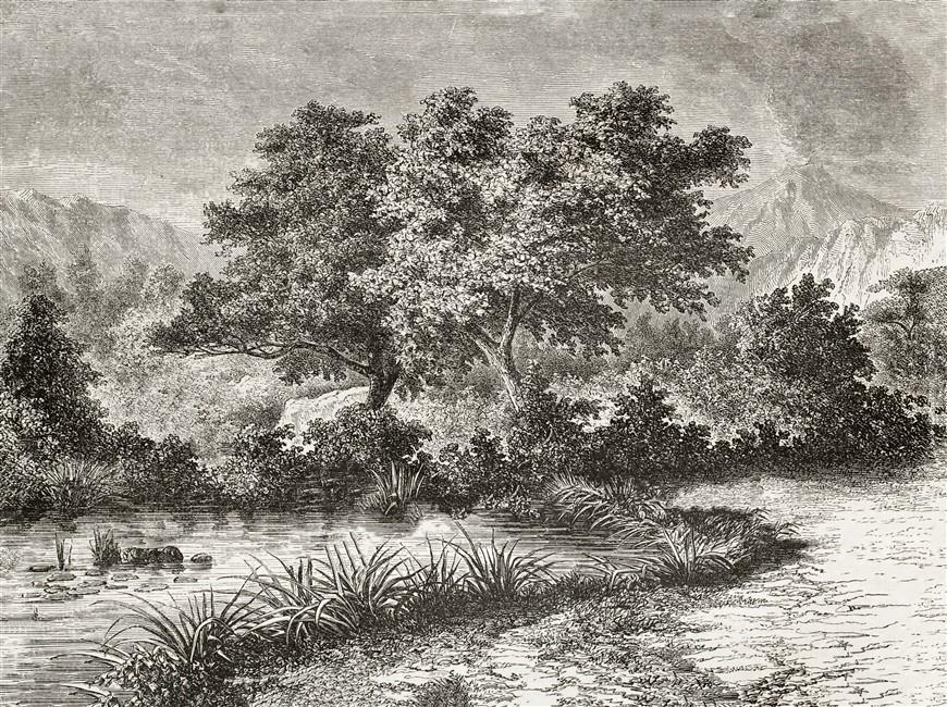 Monochrome Duvar Kağıdı-28