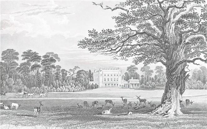 Monochrome Duvar Kağıdı-50