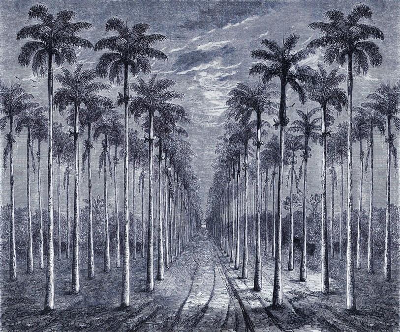 Monochrome Duvar Kağıdı-51