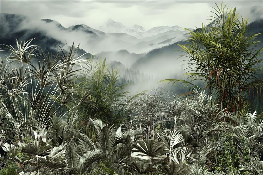 Tropikal Desenli Duvar Kağıdı-116