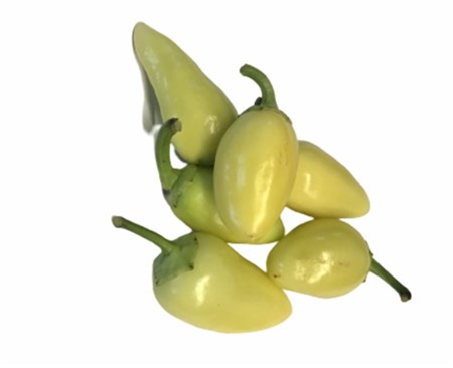 AcıTurşuluk Biber (Kg)