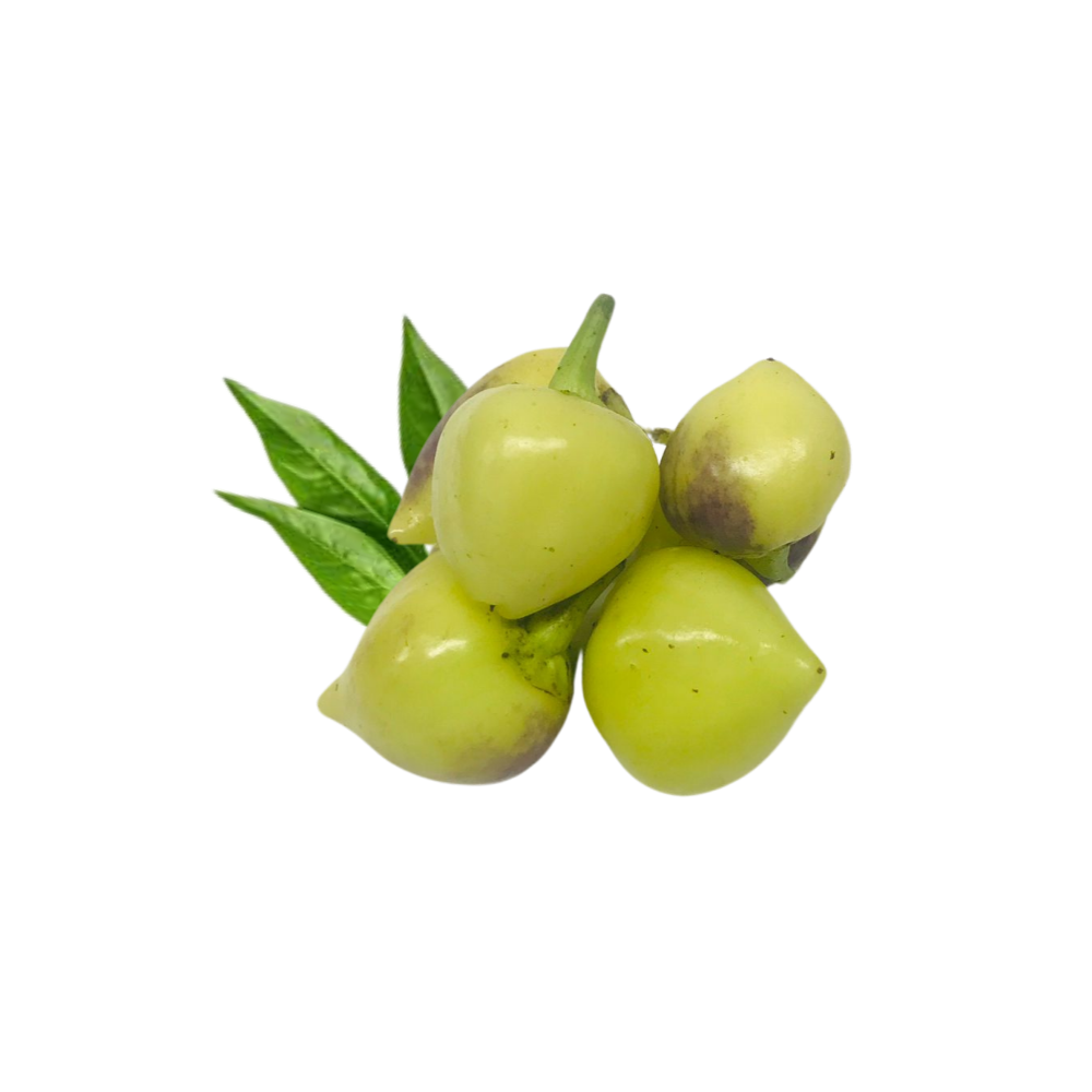 AcıTurşuluk Tombul Biber (Kg)