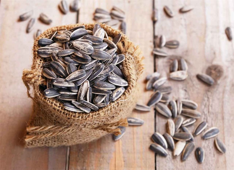 Ay Çekirdeği Kavrulmuş 500 gr