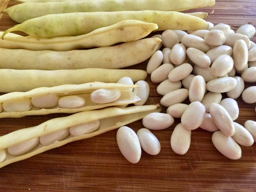 Badala Fsulyesi ( 1 Kg )