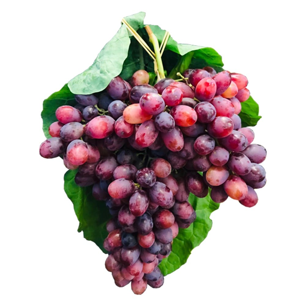 Çekirdeksiz Mor Üzüm (Kg)