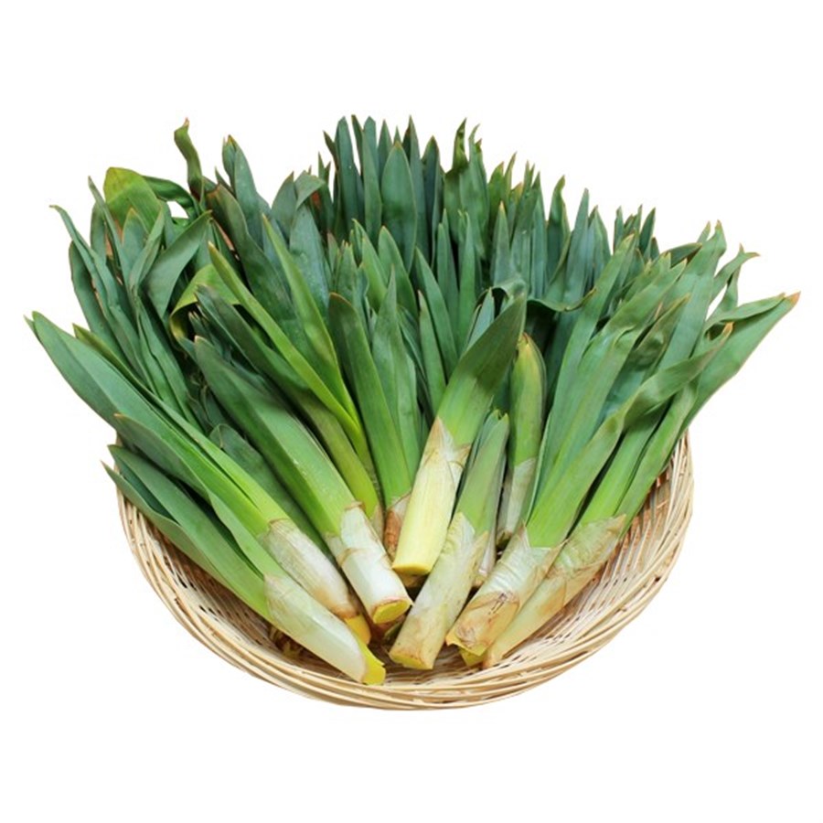 Taze Çiriş Otu (Kg)
