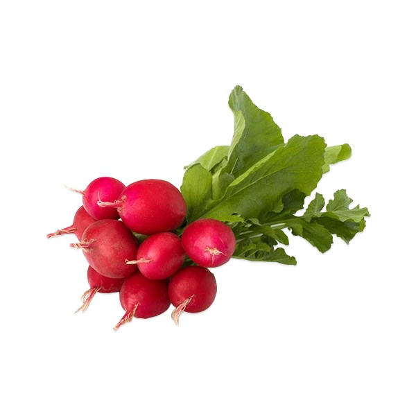 Fındık Turp (Demet)