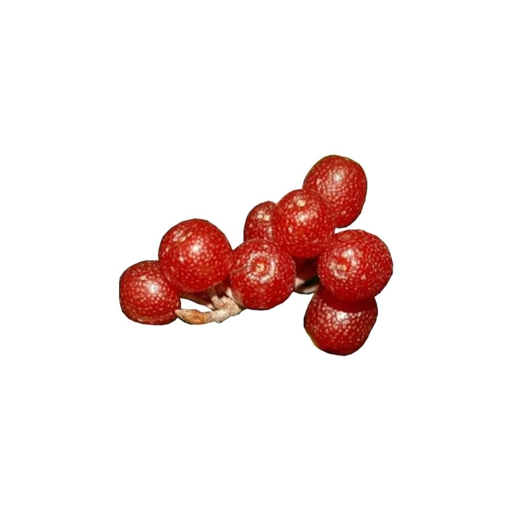 Güz Yemişi (125 Gr)