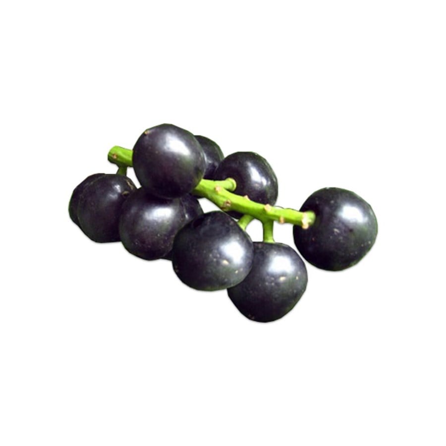 Karayemiş (Kg)