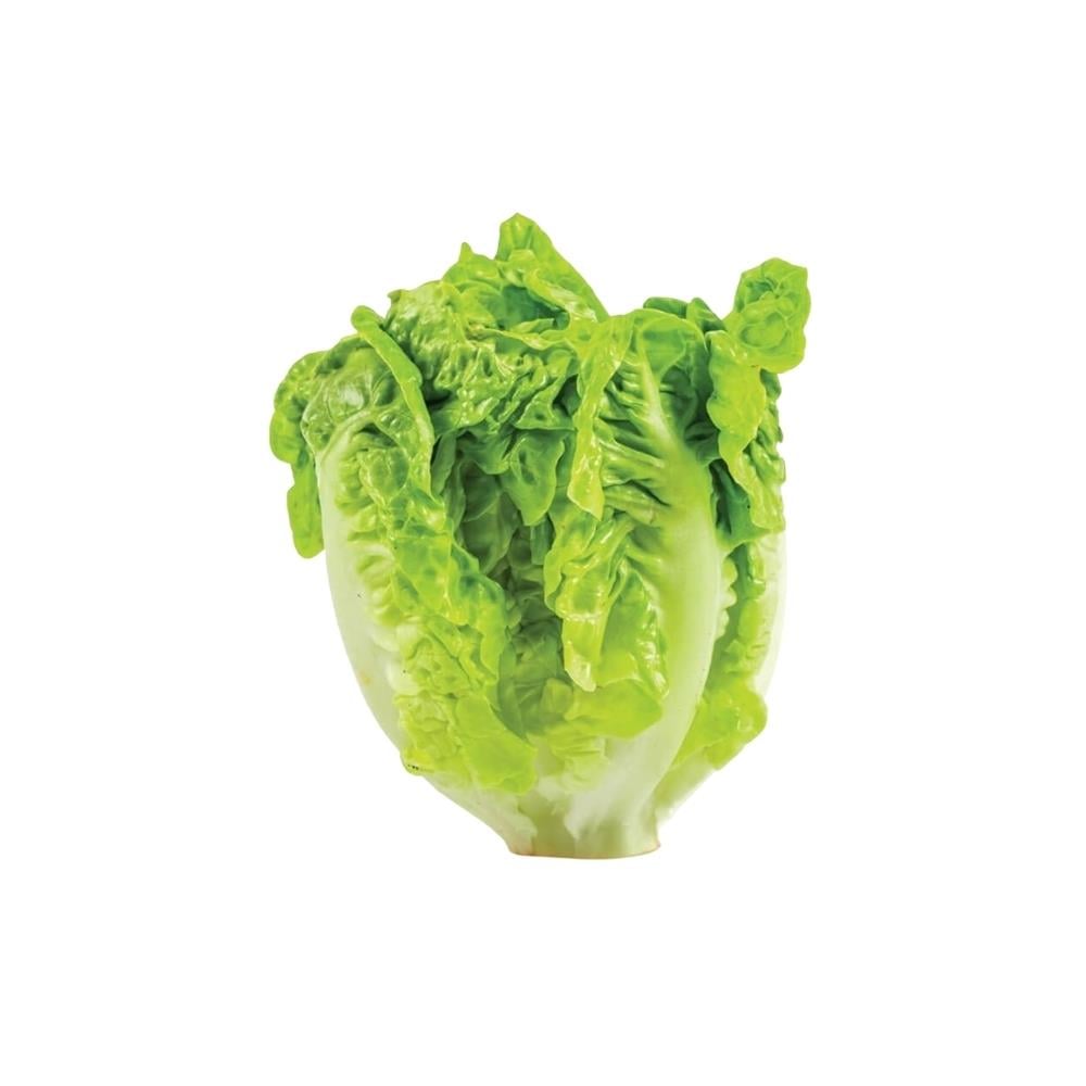 Mini Yedikule Marul (4 Lü Paket)