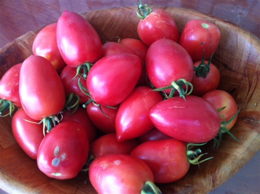 Pembe Çeri  Domates (500 Gr)