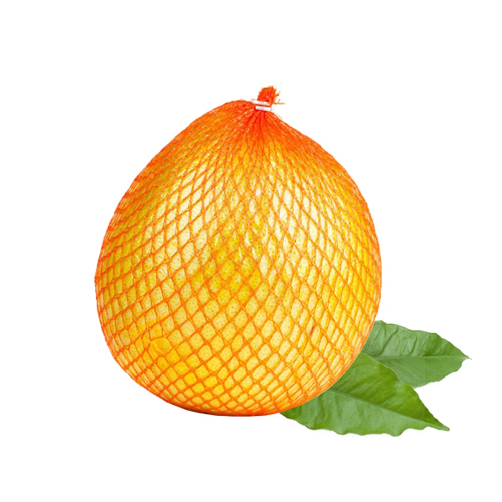 Pomelo Ağaç Kavunu (Adet)