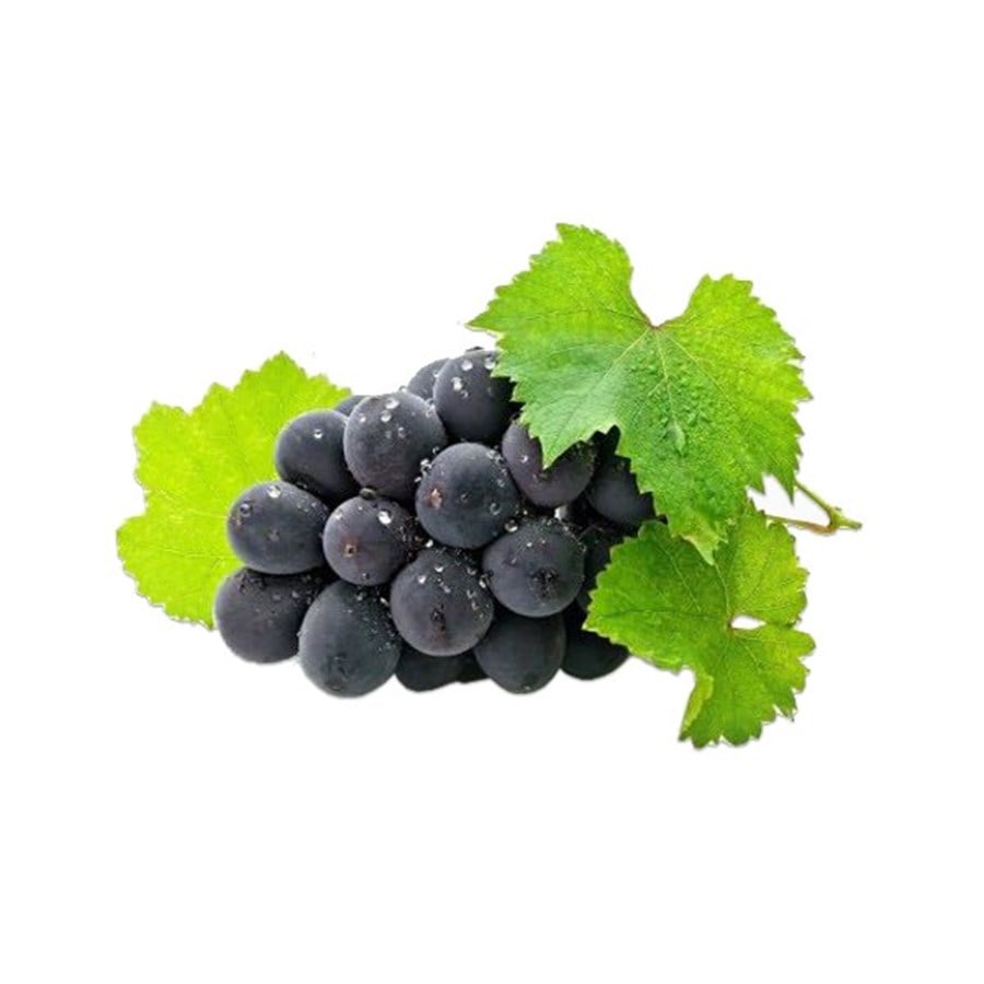 Siyah Üzüm (500 Gr)