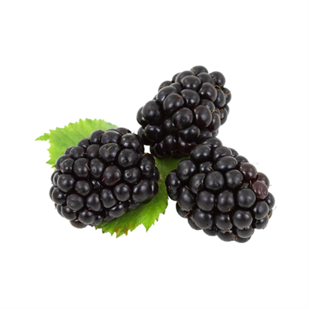 Böğürtlen Donuk 200 gr