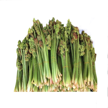 ışkın Otu ( 1 Kg )