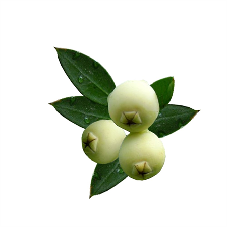 Murt (Hambeles) 1 kg