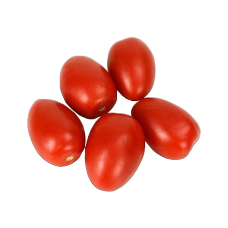 Sivri Domates (20 Kg)