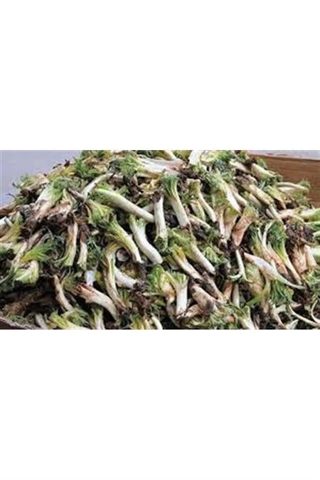 Taze Kenger (Selbin) (Kg)