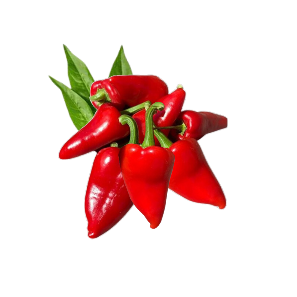Acı Turşuluk Mini Kapya Biber (Kg)