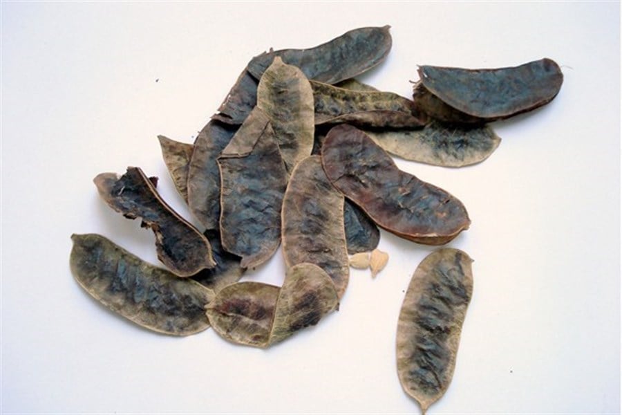 Açlık Otu ( 200 Gr )