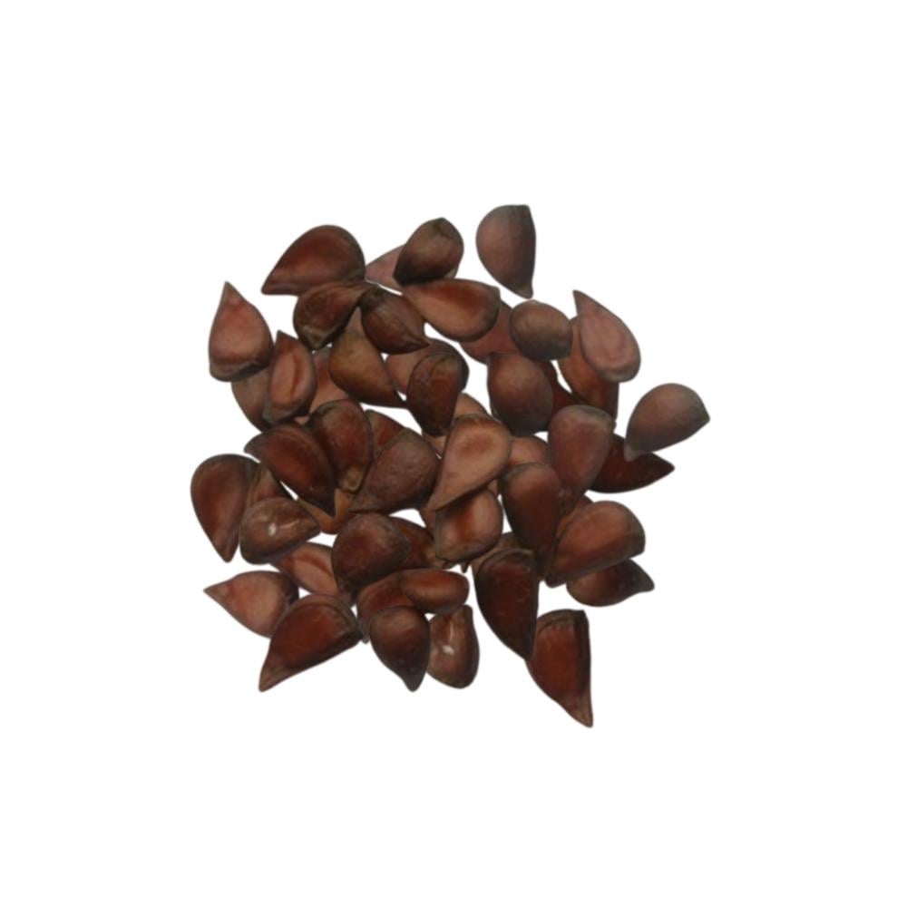 Ayva Çekirdeği (25 Gr)