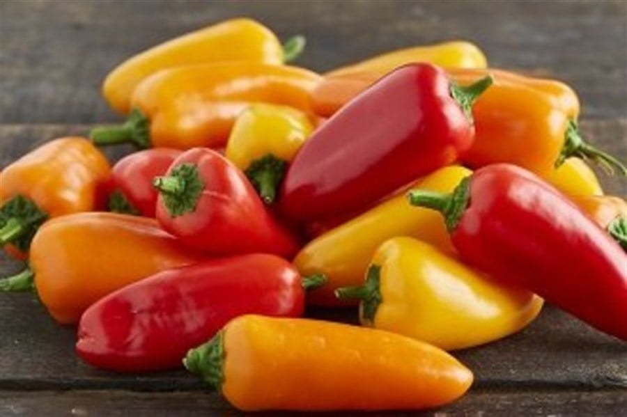 BİBER KAPYA MİNİ PAKET