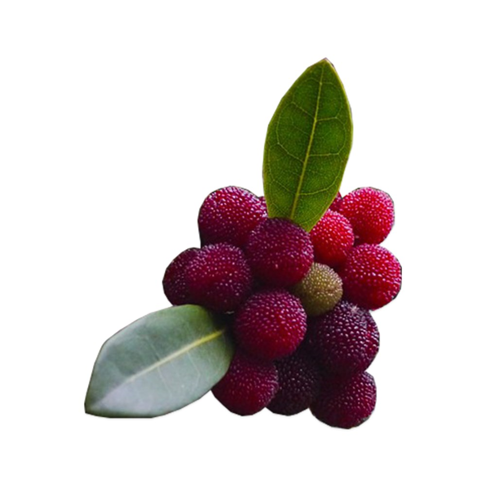 Dağ Çileği (500 Gr)