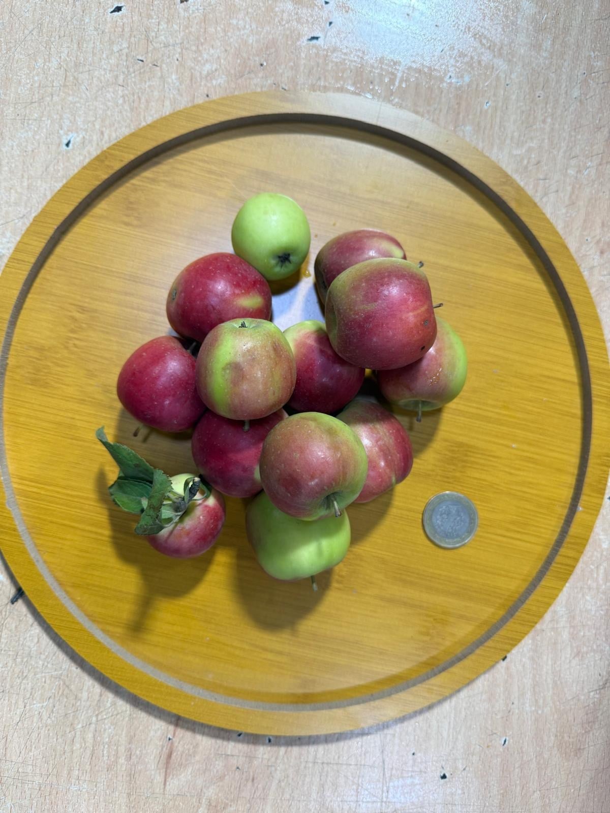 Dağ Elması yaban Elması 1 kg 