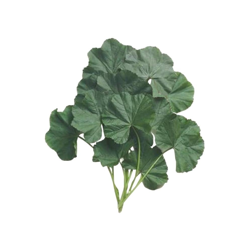 Ebegümeci 