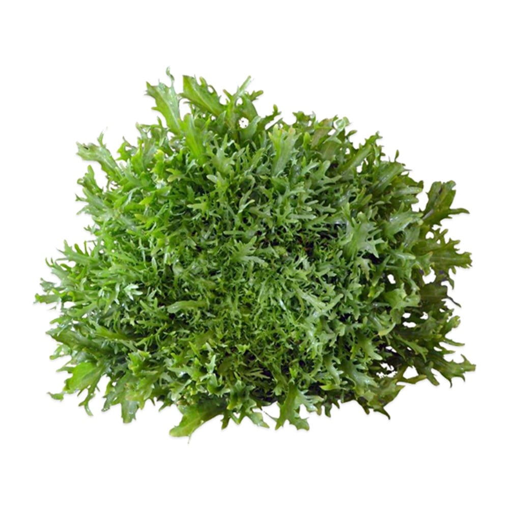 Endivyen Akdeniz Salata (Adet)