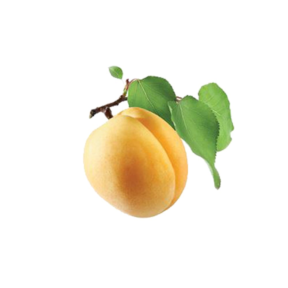 Iğdır Kayısı (Kg)