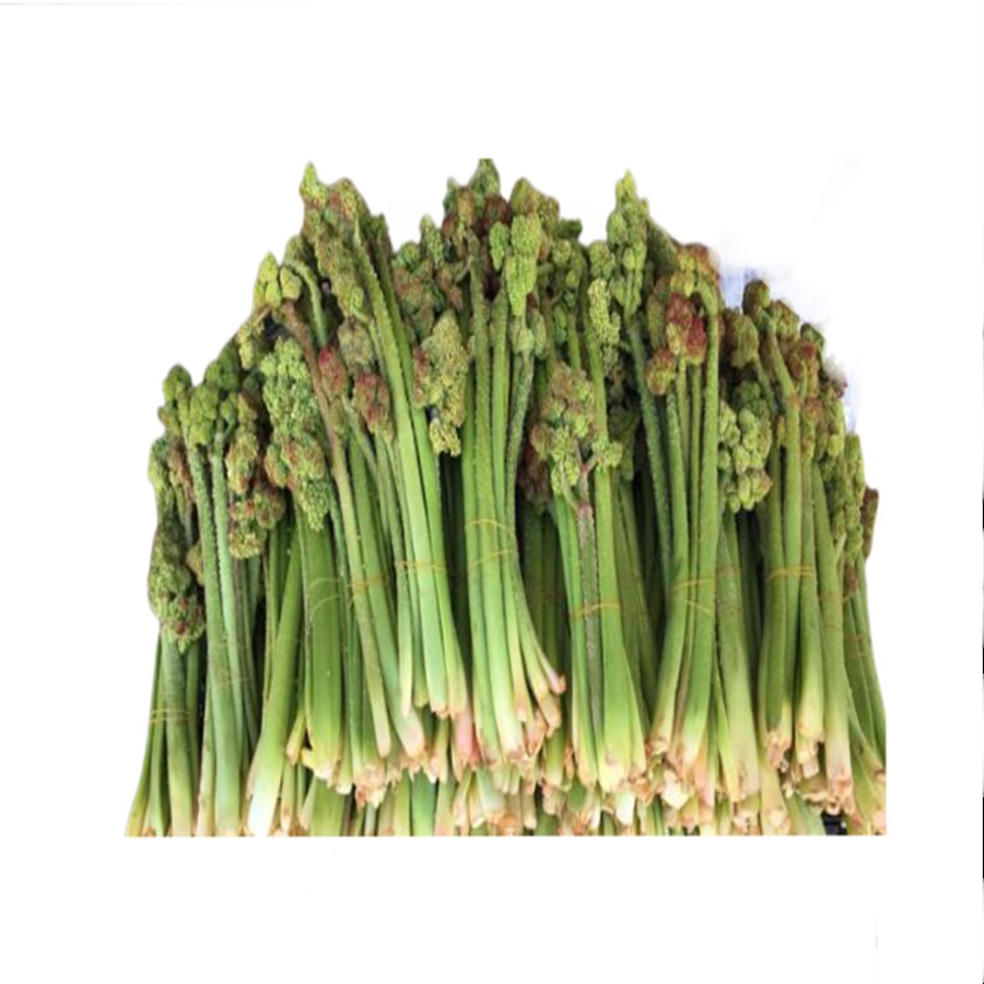 Işkın Otu (500 Gr)