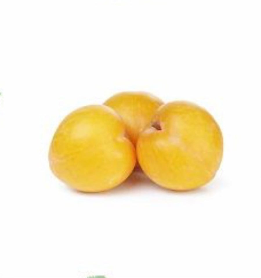 Katanya Eriği 1 kg 