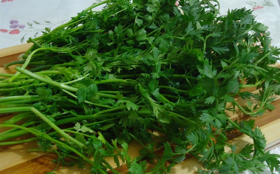 Kazayağı Otu  ( Demet )