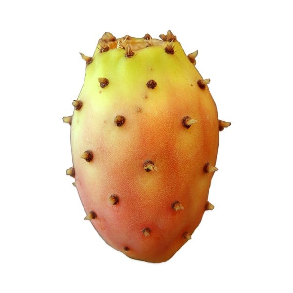 Kilis İnciri (2 Kg)