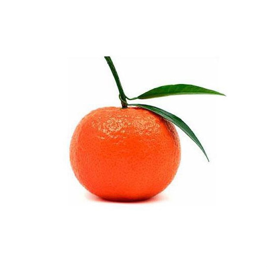 Kink Mandalina ( Kg )