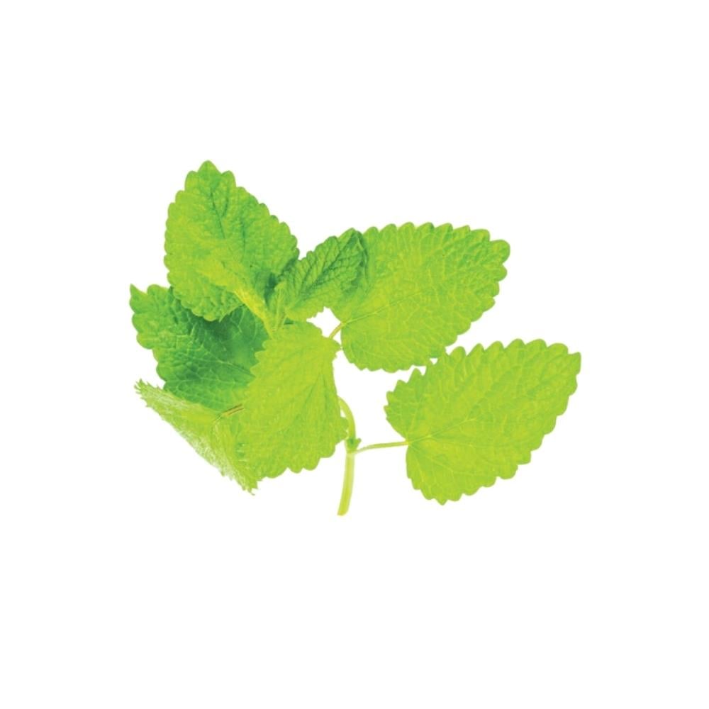 Limon Otu Melissa (25 Gr)             