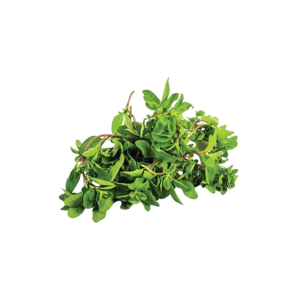 Mercan Köşkü (25 Gr)