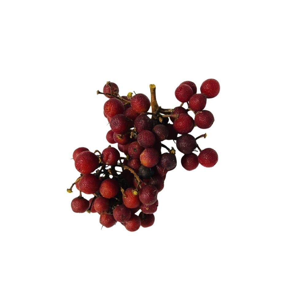 Orman Meyvesi (500 Gr)