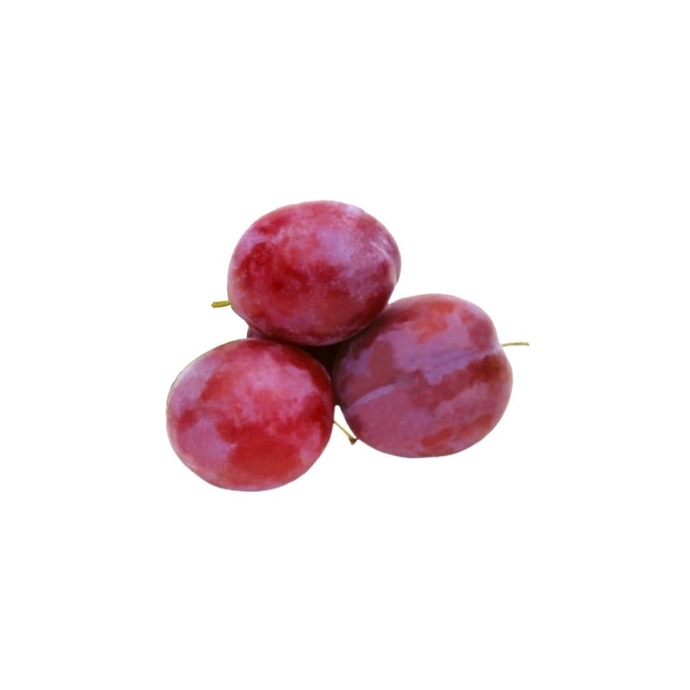 Pembe Angelica Erik (500 Gr)